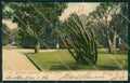 South Africa Cape Town Stamp postcard XC1271 – fronte