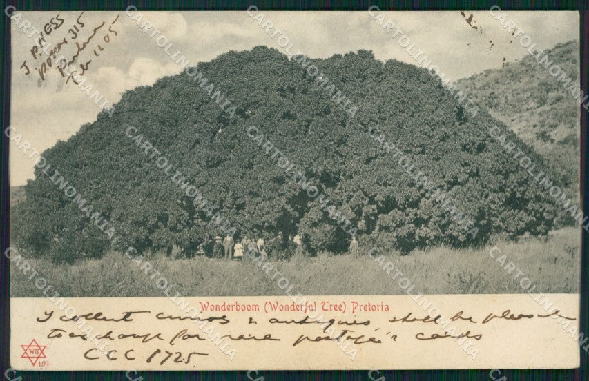 South Africa Pretoria postcard XC1303 – fronte