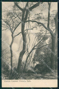 Africa Victoria Falls Zimbabwe Zambia postcard XC1313 – fronte