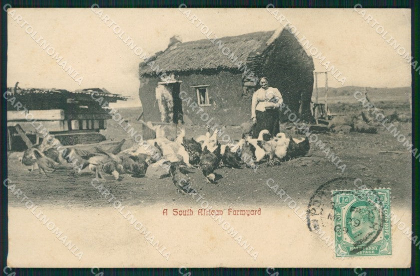South Africa Port Elizabeth CORNER CREASES postcard XC1329 – fronte