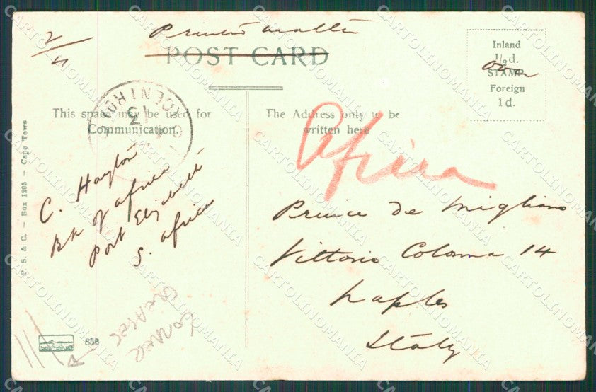 South Africa Port Elizabeth CORNER CREASES postcard XC1329 – retro