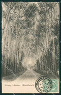 South Africa Cape Town Rondebosch postcard XC1339 – fronte