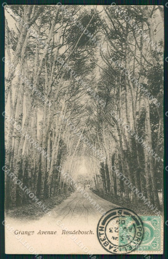 South Africa Cape Town Rondebosch postcard XC1339 – fronte