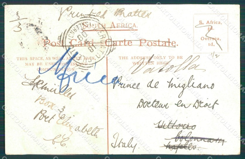 South Africa Cape Town Rondebosch postcard XC1339 – retro