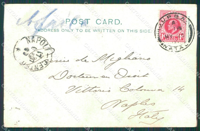 South Africa Natal postcard XC1342 – retro