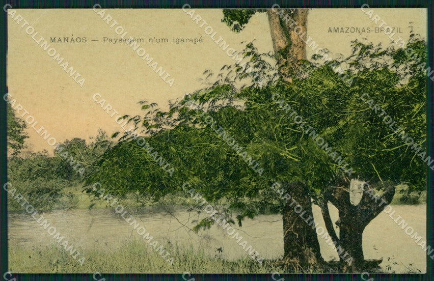 Brazil Manaus postcard XC1367 – fronte