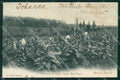 Brazil San Sao Paulo postcard XC1479 – fronte