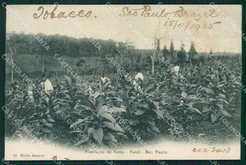 Brazil San Sao Paulo postcard XC1479 – fronte