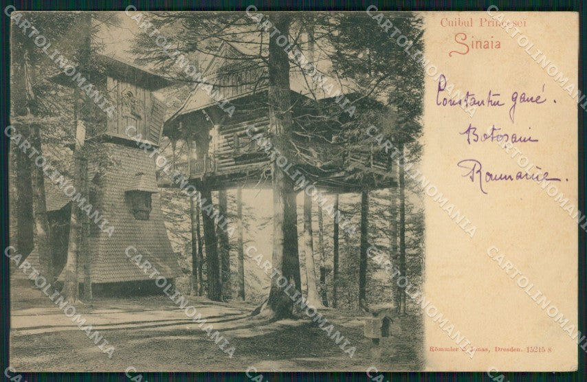 Romania Muntenia Prahova Sinaia postcard XC1589 – fronte