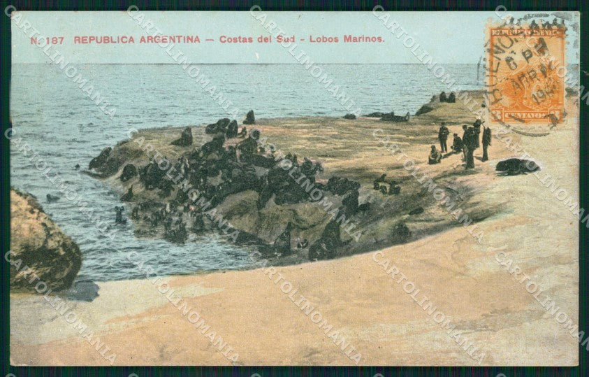 Argentina Lobos Marinos postcard XC1907 – fronte