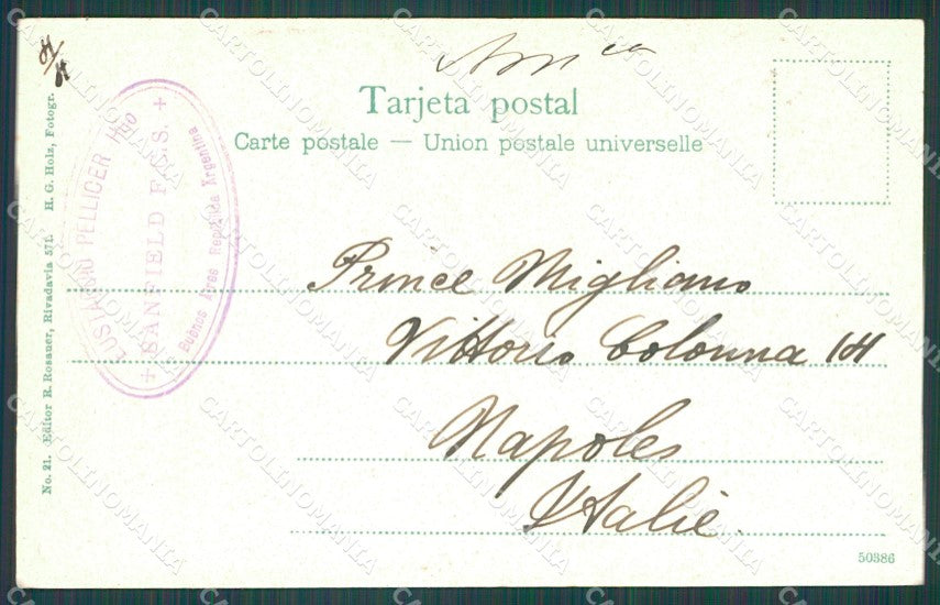 Argentina Tigre Rio Lujan postcard XC1910 – retro