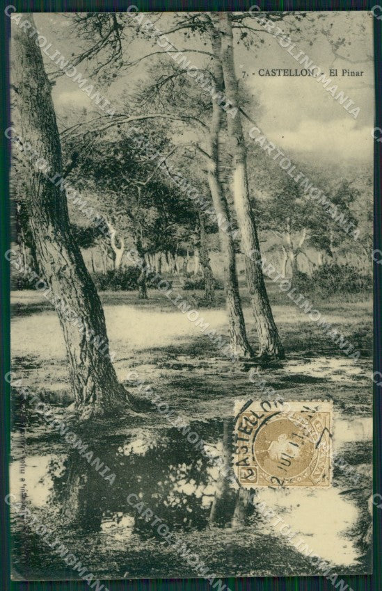 Spagna Espana Castellon Comunidad Valenciana photo tarjeta postcard XC2024 – fronte