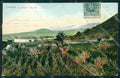 Spagna Espana Tenerife Canarias tarjeta postal postcard XC2188 – fronte