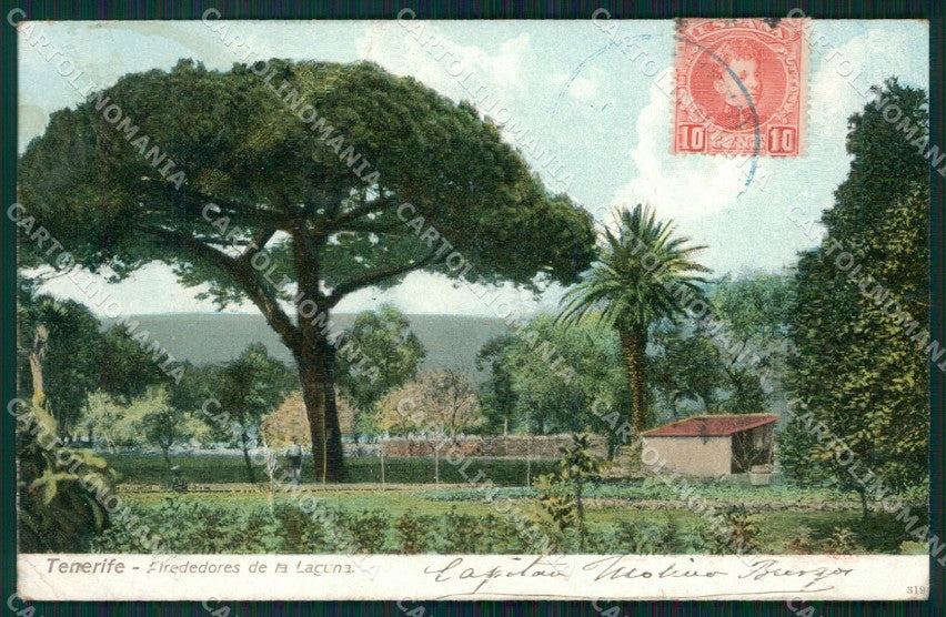 Spagna Espana Tenerife Canarias tarjeta postal postcard XC2195 – fronte