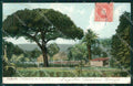 Spagna Espana Tenerife Canarias tarjeta postal postcard XC2195 – fronte