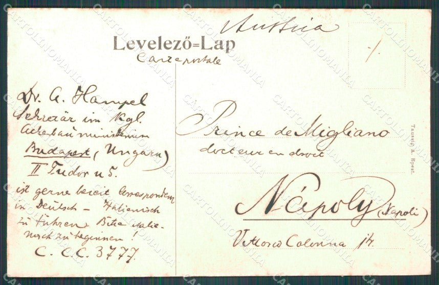 Hungary Ungheria Budapest Erzsebet hid postcard XC2898 – retro