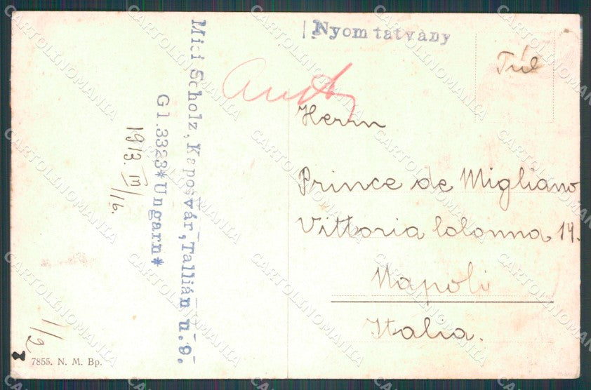 Hungary Ungheria Budapest Muzeum postcard XC3034 – retro