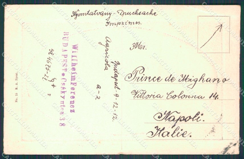 Hungary Ungheria Budapest CORNER CREASE postcard XC3038 – retro