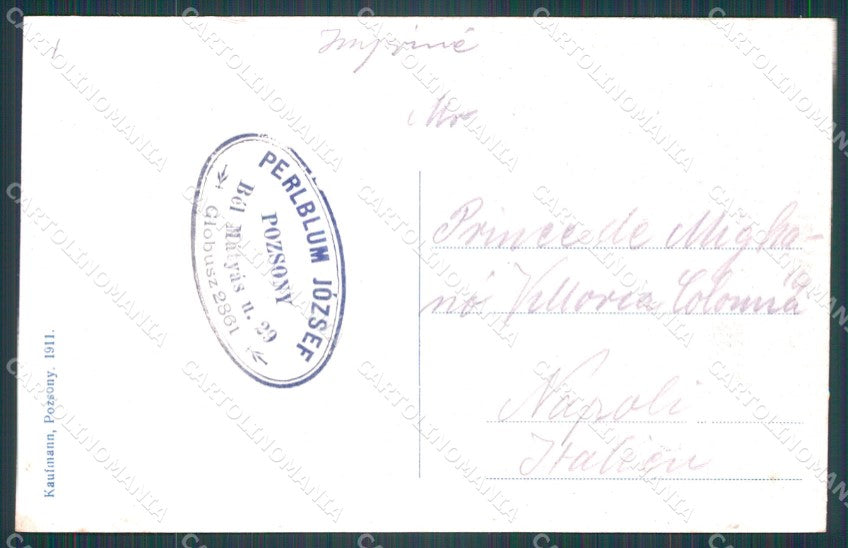 Slovacchia Bratislava Pozsony postcard XC3215 – retro