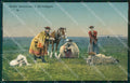 Hungary Ungheria Hortobagy Ethnic postcard XC3253 – fronte