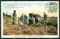 Hungary Ungheria Budapest Ethnic postcard XC3420 – fronte