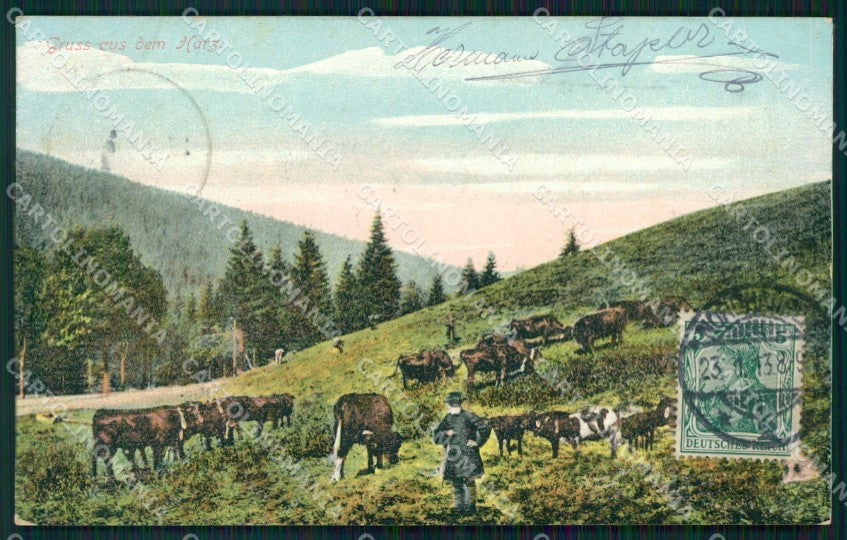 Deutschland Sachsen Anhalt Harz AK ansichtskarten XC7440 – fronte