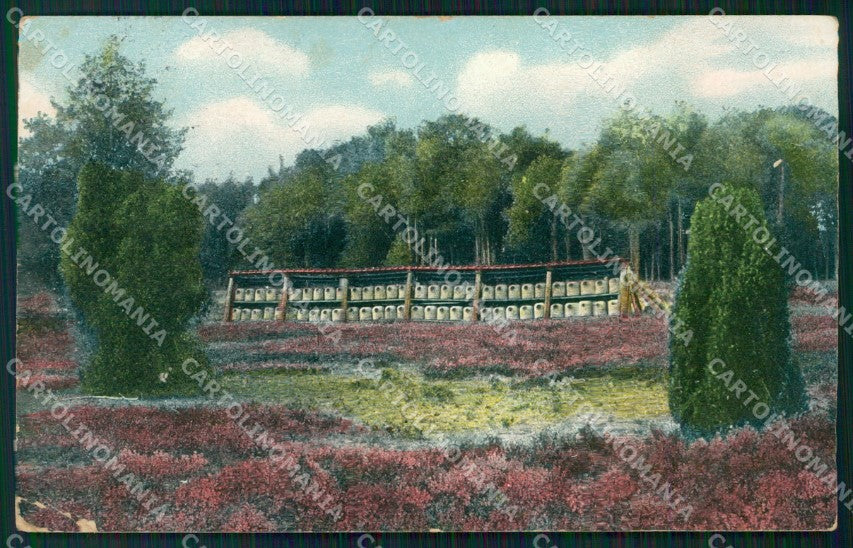 Deutschland Niedersachsen Lueneburger Heide Bienenzaum CORNER CREASED AK XC7703 – fronte