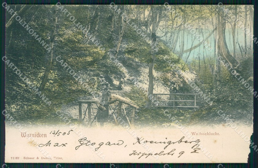 Russland Lesnoje Warnicken Wolfsschlucht ABRADED AK ansichtskarten XC8181 – fronte