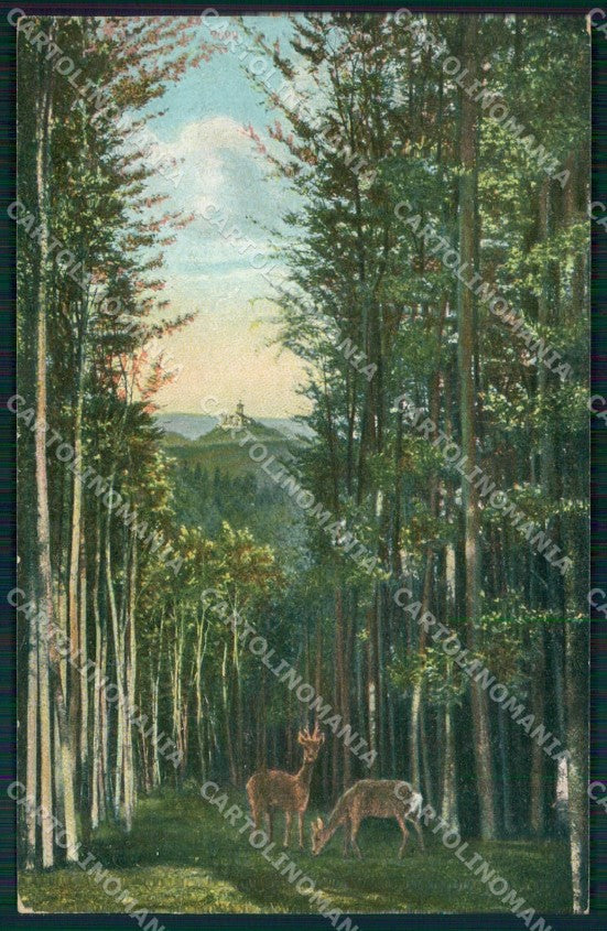 Deutschland Thuringen Wartburg AK ansichtskarten XC8183 – fronte