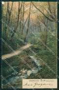 Russland Lesnoje Warnicken Wolfsschlucht CORNER CREASED AK ansichtskarten XC8190 – fronte