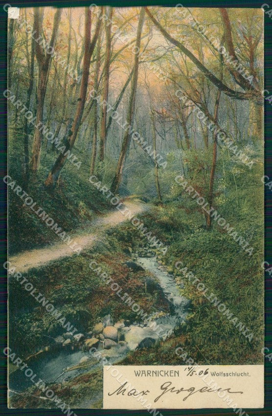 Russland Lesnoje Warnicken Wolfsschlucht CORNER CREASED AK ansichtskarten XC8190 – fronte