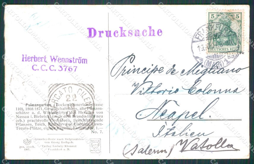 Deutschland Hessen Frankfurt Palmengarten AK ansichtskarten XC8389 – retro