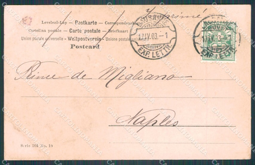 Swiss Schweiz Waadt Lausanne Deully Salon 1902 Art Foto AK ansichtskarten XC8440 – retro