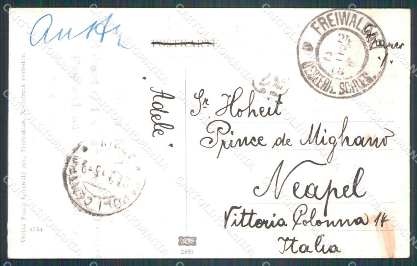 Czech Republic Jesenik Freiwaldau TRIMMED AK ansichtskarten XC8856 – retro