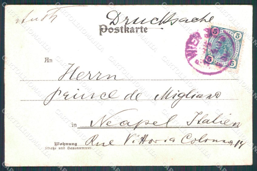Osterreich Wien Ledermann serie 7916 AK ansichtskarten XC9385 – retro