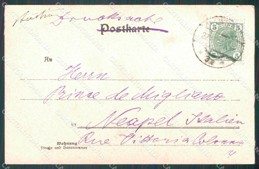 Osterreich Wien Stadtpark Ledermann serie 5242 AK ansichtskarten XC9400 – retro