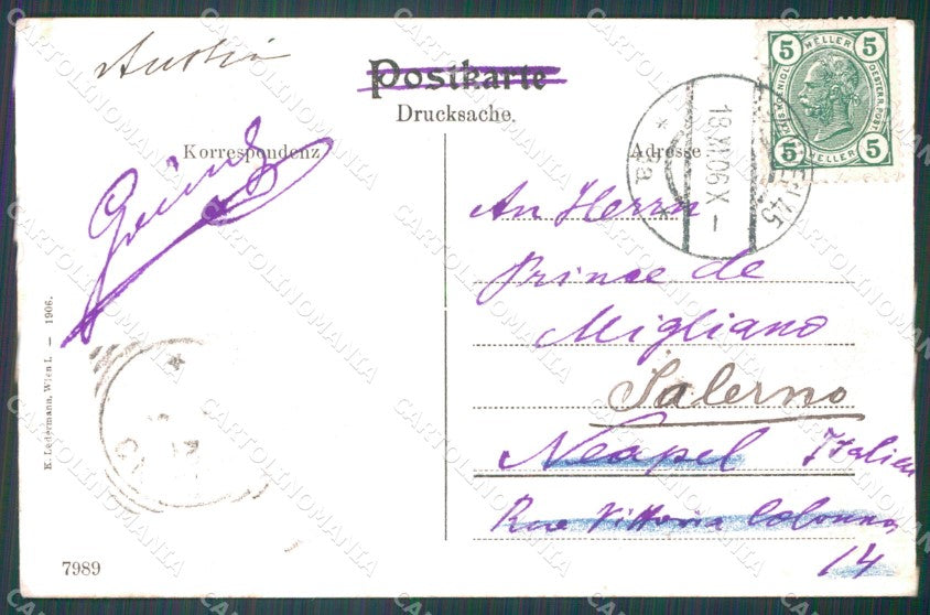 Osterreich Wien Ledermann serie 7989 ABRADED AK ansichtskarten XC9401 – retro