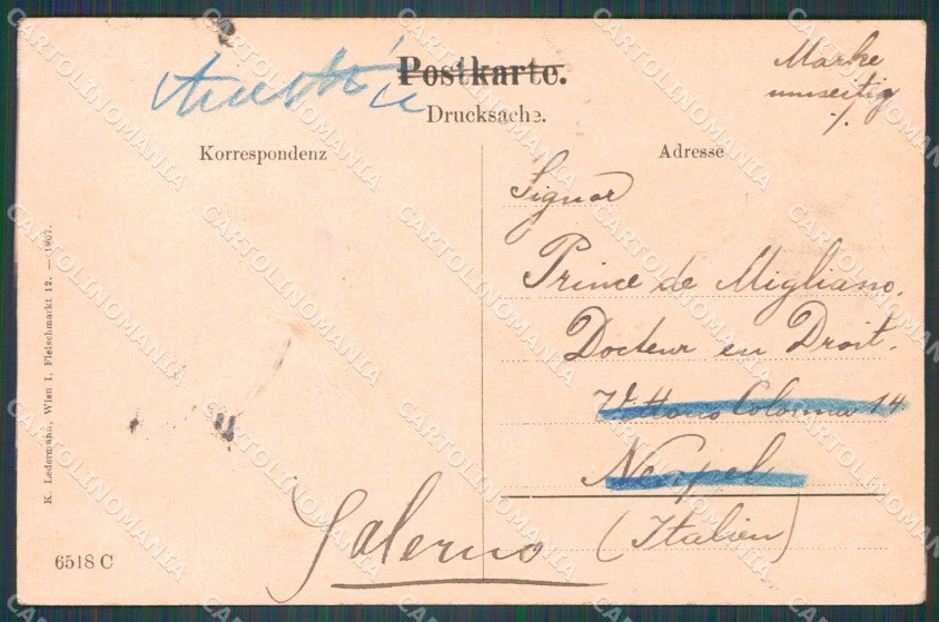 Osterreich Wien Ledermann serie 6518 C WRINKLESAK ansichtskarten XC9406 – retro