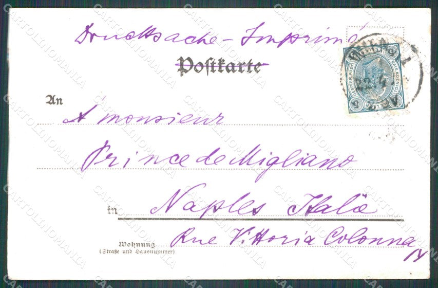Osterreich Wien Volksgarten Ledermann serie 5065 AK ansichtskarten XC9416 – retro