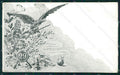 Militari 29º Reggimento Fanteria Brigata Pisa cartolina XF0095 – fronte