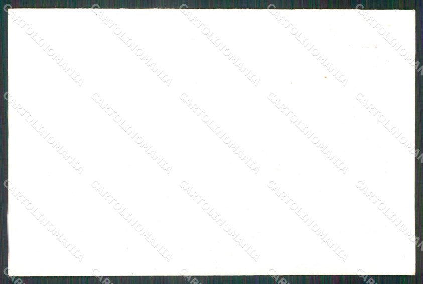 Militari XVI Reggimento Cavalleggeri di Lucca cartolina XF2462 – retro