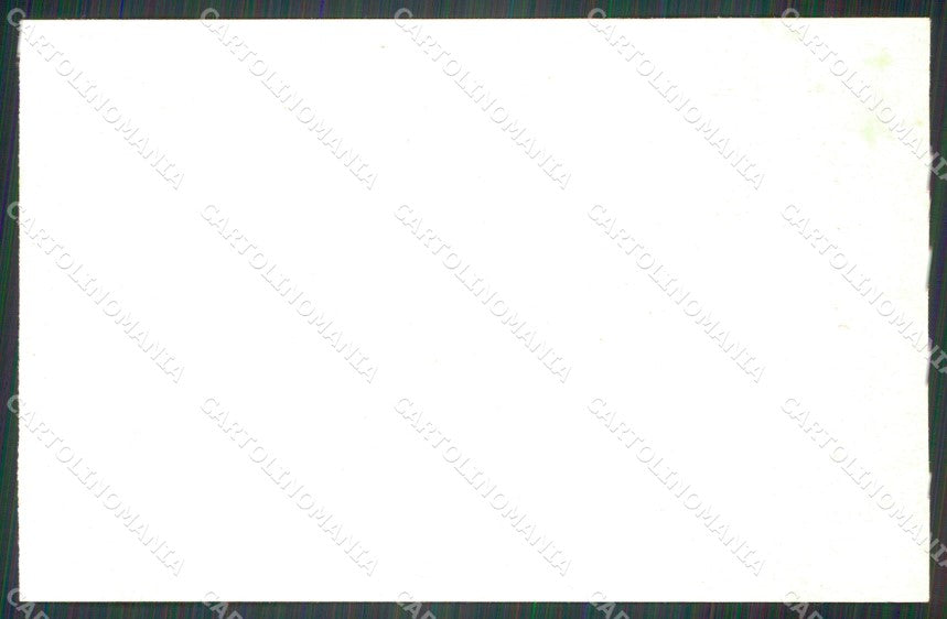 Militari XXI Reggimento Cavalleggeri di Padova cartolina XF2611 – retro