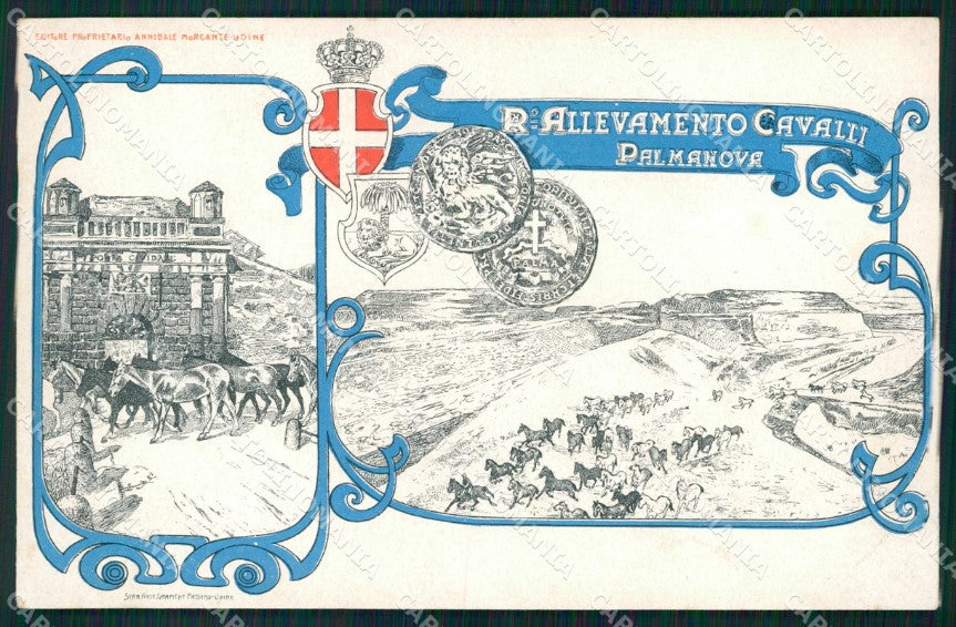 Militari Palmanova Allevamento Cavalli Cavalleria cartolina XF2918 – fronte