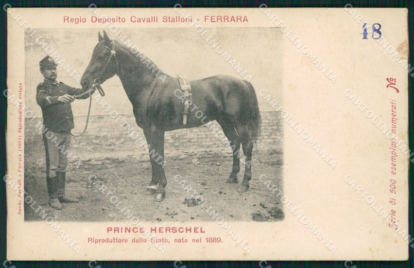 Militari Ferrara Cavalleria Deposito Stalloni serie 48/500 cartolina XF2919 – fronte