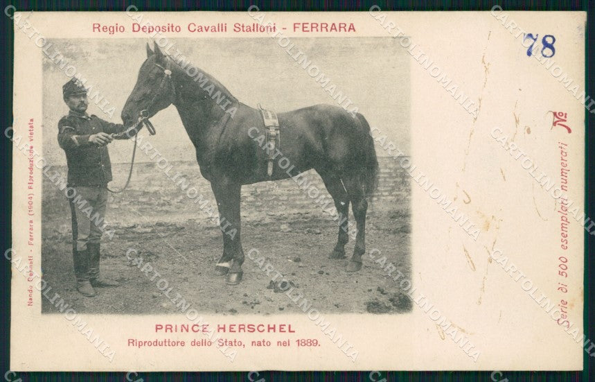 Militari Ferrara Cavalleria Deposito Stalloni 78/500 ABRASA cartolina XF2941 – fronte