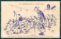 WWI WW1 Propaganda Patriotic Humor Kaiser Franz Joseph Russia postcard XF3255 – fronte