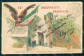Militari 14º Reggimento Fanteria Palermo STRAPPINO ABRASA cartolina XF4448 – fronte