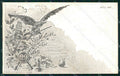 Militari Reggimentali 29º Reggimento Fanteria Brigata Pisa 1901 cartolina XF4714 – fronte