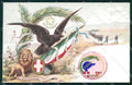 Militari Reggimentali 47º Reggimento Fanteria cartolina XF4966 – fronte