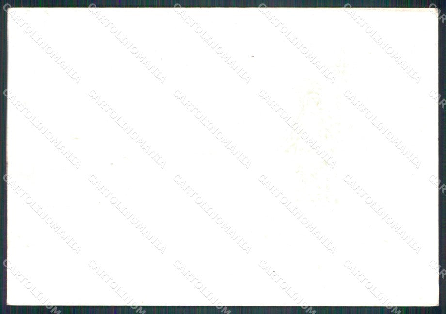 Militari Omaggio alle Forze Armate Madonnina Milano FG cartolina XF7462 – retro